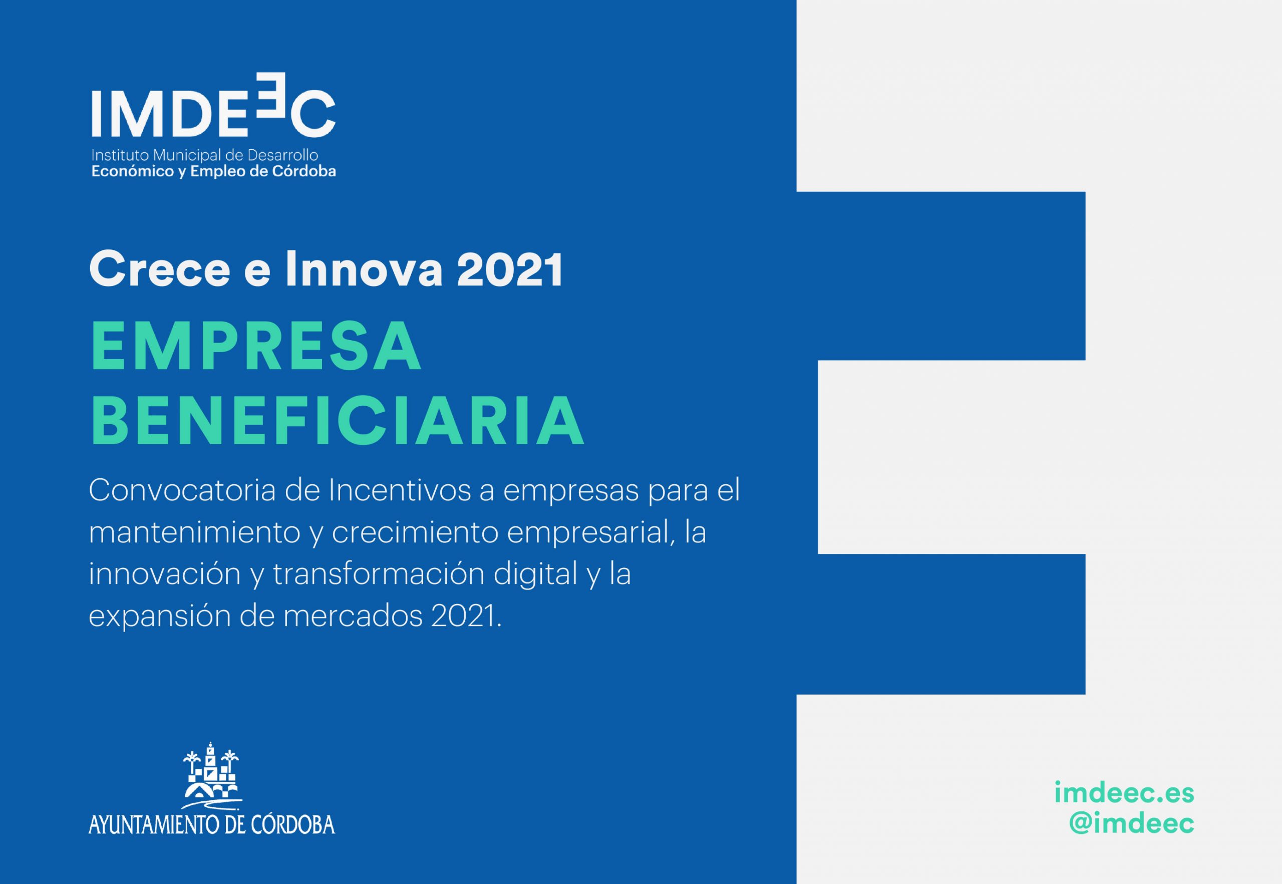 Google partners - Expacioweb